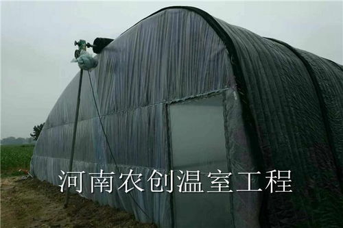 舞鋼日光溫室大棚造價與周到服務全面解析