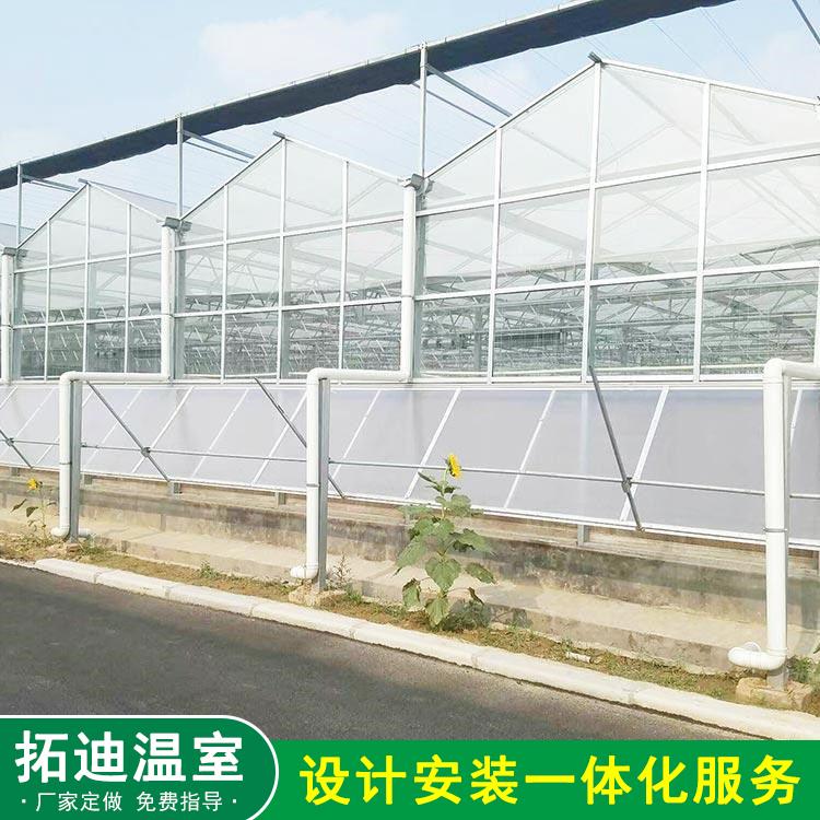 定制無限可能，高效高產的智能溫室——拓迪為您實現您的智慧農業夢想！
