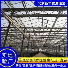 生態智能溫室大棚 新華農源單拱薄膜連棟溫室的智慧與匠心